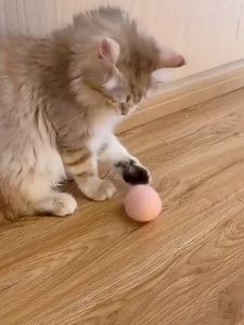 Cat Toys Smart Interactive Ball Catnip Cat Training Toy Pet Playing Ball for Cats Kitten Kitty Pet Squeaky Toy Supplies Products