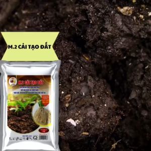 M.2 CẢI TẠO ĐẤT TRỒNG NÔNG NGHIỆP