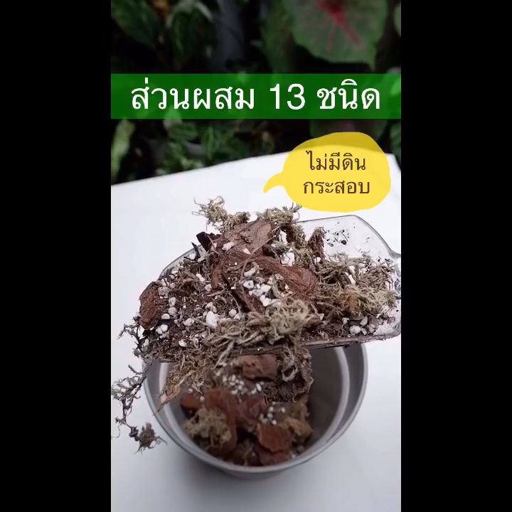 ดินปลูกไม้ด่าง Pasom Garden สูตรพรีเมียม