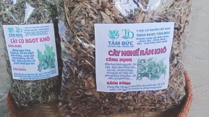Cây nghể răm sấy khô [100g] TẶNG [50G] cỏ ngọt - hỗ trợ điều trị mẩn ngứa  mề đay  mụn nhọt  dị ứng