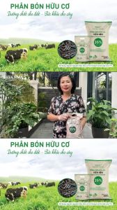 Phân Bò GREENMA 35% - Phân Hữu Cơ Viên Nén Gói 2kg - Phân GreenMa