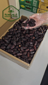 PROMOSI Safawi (Wholesale) FRESH VIP -- 5kg Box Dates Kurma SAFAWI Premium From Saudia Arabia