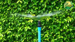 สปริงเกอร์ใบบัว สปริ่งเกอร์ 360 องศา สปริคมอง 4-6 หุน สปริงเกอร์ ใบบัว