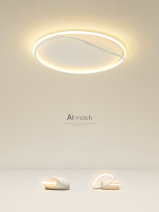 Creative Simple Modern LED Ceiling Light