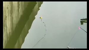 ผลเสริมสวยใส ปลา ทานาโกะ Tanago ที่ปลดตะขอเบ็ด สแตนเลส พร้อมหลอดใส่ ใช้งานดี สวยๆ