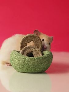 Tafit | Hamster Teeth Grinding Toy