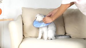 SKISOPGO ปลอกคอกันเลีย - M/L/XL คอลล่าแมว ปลอกคอแมว ป้องกันการเลียแผล