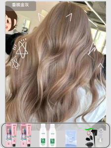[New] Champagne Gray Hair Color Cream Womens Float-Free White Hair Dye 2023 Popular Color Cold Brown Plant Pure Genuine Goods