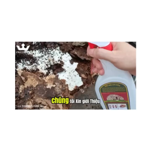 Xịt Diệt Mối Mọt Tận Gốc LƯU DẪN 500ml Có Tính Lưu Dẫn Xông Hơi Diệt Mối Mọt Gỗ Tủ Bếp Sàn Gỗ Tặng Vòi Xịt