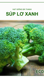 [EcoSeeds] Combo 2 Gói Hạt Giống Súp Lơ Xanh Việt Á - Giống F1 Phát Triển Mạnh - Gói 100 Hạt