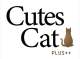 Cutes Cat Pet Shop