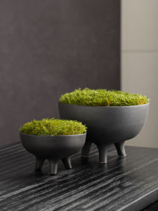 New Chinese Style Miniature Landscape Eternal Moss Artificial Plant Bionic Fern Indoor Scenery Tea Table Front Desk Decoration