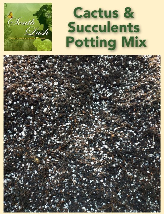Cactus and Succulents Potting Mix 1 Kilo | Lazada PH