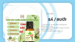 (HCM) Tinh Dầu Sả Chanh Thiên Nhiên Nguyên Chất Huyền Thoại Xông Phòng Lau Nhà Đuổi Muỗi Khuếch Tán Hương Thơm - Ro Organic