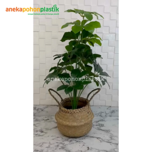 Pohon Imitasi Tanaman Hias Daun Walisongo X12 Semi Latex Pot Dasar Hitam Cover Purun Belly Pajangan Kantor Hiasan Rumah Aesthetic