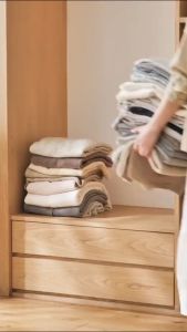 Kệ Xếp Chia Ngăn Kéo Đựng Quần Áo Giày Dép Đa Năng Toshudo