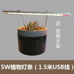 Planting Force [USB Plant Light Strip] Succulent Desktop Cactus Slurperon Office Led Green Plant Fill Light