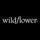Wildflower Tech