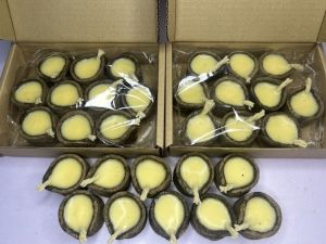 Panchagavya deepam / Diya  /Vilakku