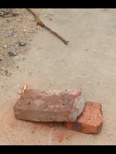 【จัดส่งถึงบ้าน】จอบพรวนดิน จอบอเนกประสงค์ ผลิตจากวัสดุที่มีความแข็งสูง หัวไม่หลุด ขอบหนา คม แถมไม้ติดมาด้วย จอบแมงกานีส จอบถากหญ้าคมๆ จอบถางหญ้า ใช้ 30 ปีก็ไม่พัง ! จอบขุดดิน จอบ คมเป็นพิเศษ แข็งแรงและทนทาน คราด จอบดายหญ้า คราดเหล็ก จอบถากหญ้า จอบเล็ก