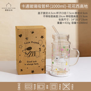 Modern Housewife High Borosilicate Glass Cup Large Capacity High Aesthetic Value Water Cup Juice Cup Heat Resistant with Lid Straw Cup
