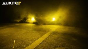AUXITO 2Pcs 9006 LED Fog Light Bulb 3000K Yellow Canbus 9006 HB4 LED Car DRL Driving Fog Lamp No Error 6500K White 12V Auto Lamp