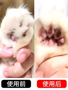 Electric Dog Paw Fur Trimmer Pet Grooming Kit Cordless Cats Dogs Clippers Trimmer Puppy Rechargeable