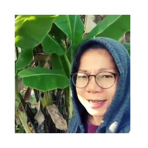 กล้วยเช้า, ใบตอง, ใบกล้วย, กล้วยตานี, กล้วยน้ำ, กล้วยหอม, กล้วยหอมเขียว - ส่งไว