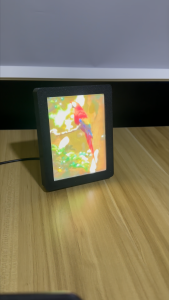 Custom 3D Printed Lithophane Photo with Backlit Frame