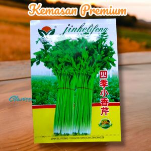 (KEMASAN PREMIUM) BIJI/BENIH TANAMAN SELEDRI IMPORT (isi -+ 3.000 butir)