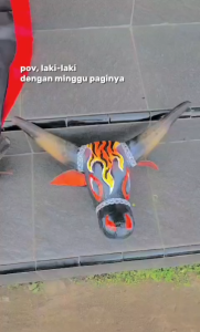 Promo mainan Banteng/ bantengan sungu asli murah mberot tanduk asli