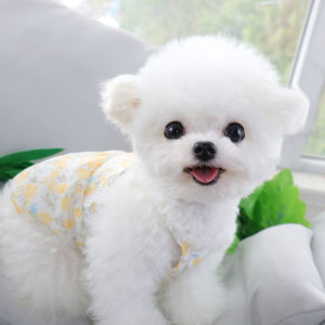 ฤดูร้อน Thin Blue Cat เสื้อกั๊ก น่ารัก เสื้อผ้าคิตตี้ Anti-fur Loss สําหรับลูกแมวสัตว์เลี้ยงสุนัข ฤดูร้อน เสื้อกั๊ก น้ำหนักเบา สไตล์ลำลอง ชุดสัตว์เลี้ยง