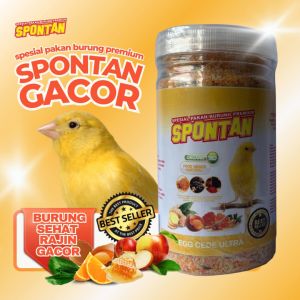 CEDE PAKAN KENARI SPONTAN LANGSUNG GACOR