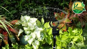 10 อัน กล้องการได้ เป็นกล้องที่มีโครงหมูที่น้ำกระจายและมีการปรับปรุงโดย K FARM ด้วยวาลวงวัฒนา PE ดิจิทัล ขนาด 16 20 25 มิล พร้อมท่องเทียนบางส่วน สปริงเกอร์ ใบแฟนซี ท่อพีอี