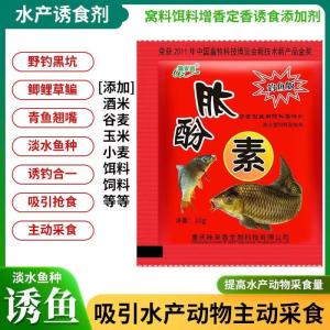 Dụng Cụ Câu Cá Chép Đa Năng Hương Vị Hấp Dẫn Cay Nồng Dụng Cụ Câu Cá Ngoài Trời Dụng Cụ Câu Cá Lăng Quang Hương Vị Ngon