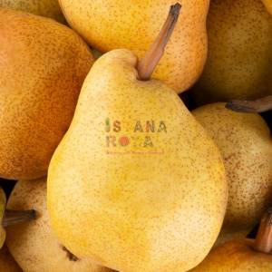 JUICY YA PEARS IMPORTED FROM CHINA - PACK OF 5 - ISTANA ROYAL FRUITS