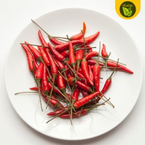 100 seeds for planting binhi pantanim sili labuyo