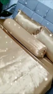🔥GIÁ SỐC🔥Trọn Bộ 5 Món Phi Lụa Cao Cấp Hàng Loại 1 Bộ Ga Gối Chăn Chần Bông Mát Mượt_Nemtot Bedding