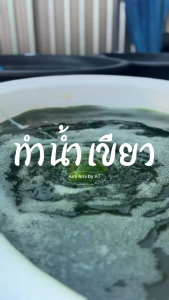 น้ำเขียว เลี้ยงไรแดง 5 20 ลิตร | Ami Ami by AT & Growever