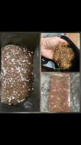 Mụn Dừa Trộn Đá Perlite Đã Xử Lý – Tơi Xốp Thoáng Khí dùng trực tiếp không cần trộn Minh Hân Garden