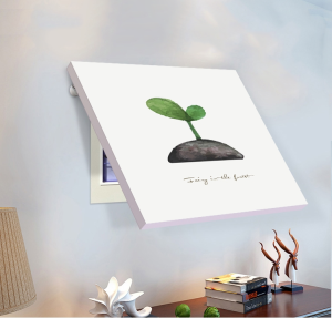 Electric Meter Box Painting: A Creative Approach to Minimalist Modern Living