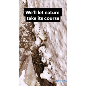 ToraClin AntClin Nest Eraser Max 10g - Ant Killing Bait/ Ant Killer/ Ant Control