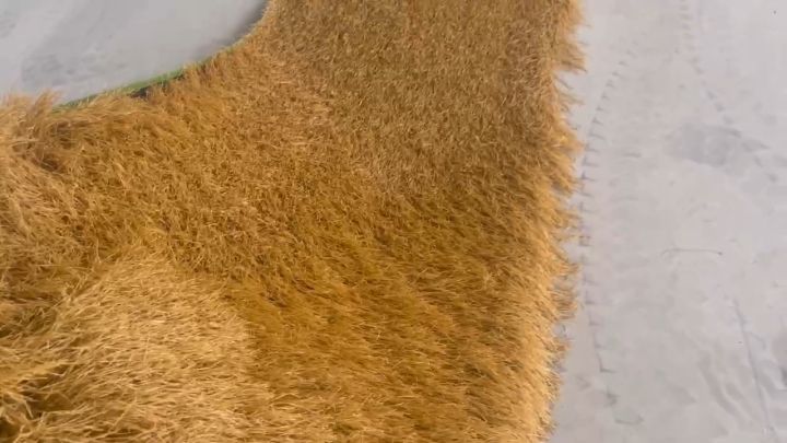 Atap Rumput Texture Atap Rumput Jerami Dekoratif Premium 2m x 20m untuk Dekorasi Outdoor ...