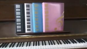 Guitar Sheet Music Book Folder Piano Paper Sheets Folder Document Storage Organizer A4 Music Score Folder