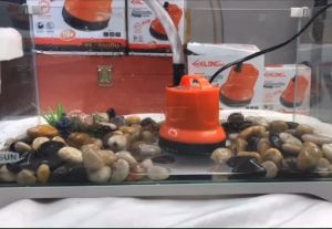 ปั๊มสูบน้ำ ปั๊มจุ่ม ไดว่า Xilong XL 2500D(2500ลิตร ต่อชั่วโมง)