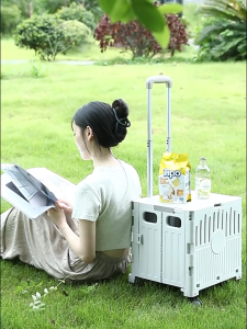 [SG Stock] Foldable Shopping Cart Shopping Trolley with 360° Rotatable Wheels Large Capacity Shopping Utility Cart