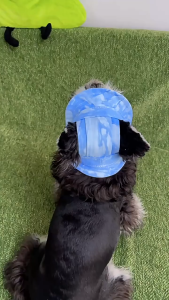 Adjustable Dog Hat with Ear Holes Pet Fisherman Cap Puppy Cat Sun Hat Pet Accessories