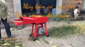 Máy băm cỏ voi  rơm rạ làm nấm phân vi sinh
