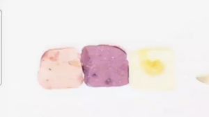 (Ran Ran Squirrel) Freeze-dried Yogurt Fruit Grains Solid Dried Fruit Leisure Snacks