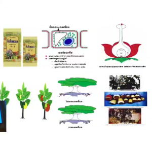 ปุ๋ย ปุ๋ยกิฟฟารีน ปุ๋ยทางใบ ฮอร์โมน ปุ๋ยเกล็ด ปุ๋ยน้ำ โปโรแคล แคลนเซียม giffarine ลำต้นแข็งแรง รากแตกดี ทนแล้ง ป้องกันแมลง เชื้อชา เพิ่มผลผลิตไว ละลายน้ำง่าย ไม่อุดตันหัวฉีด ของแท้ ส่งฟรี